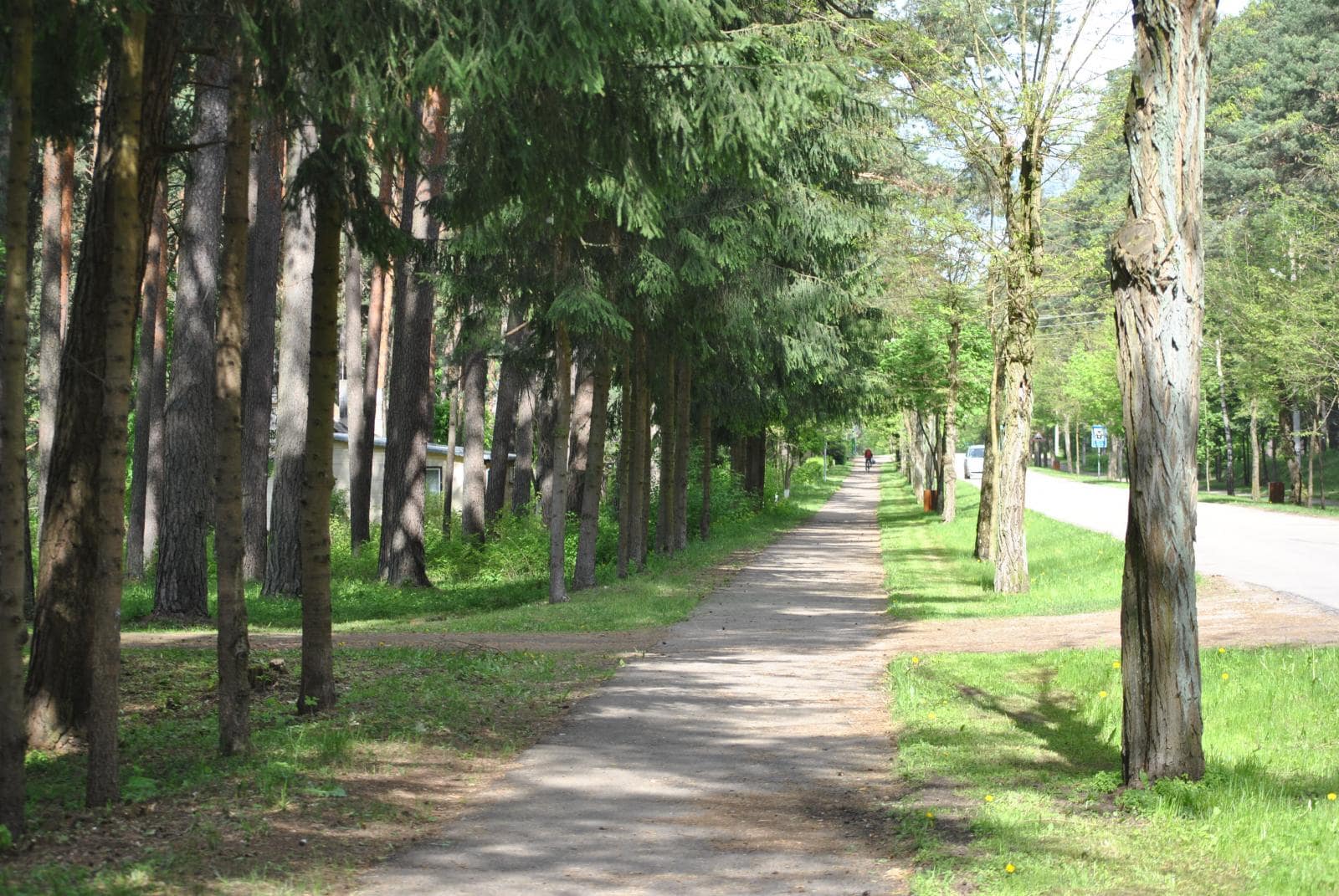 Kulautuva 9