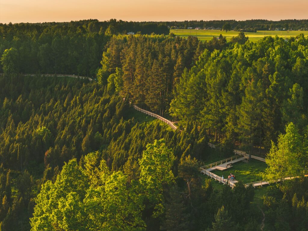 Arlaviškių pažintinis takas (Kadagių slėnis)